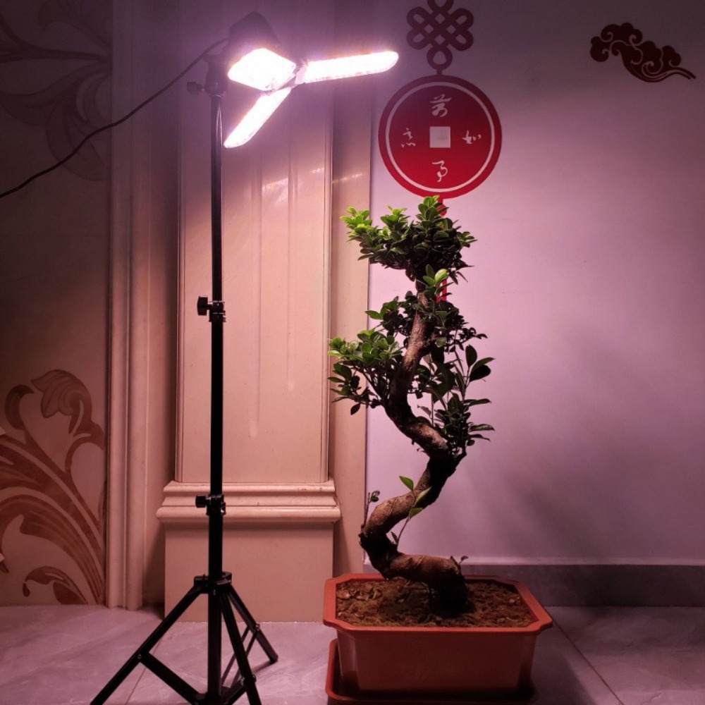 Light Bulb Stand 2M, E27 AC So - Lighting In Photography Studio ulasan dan harga