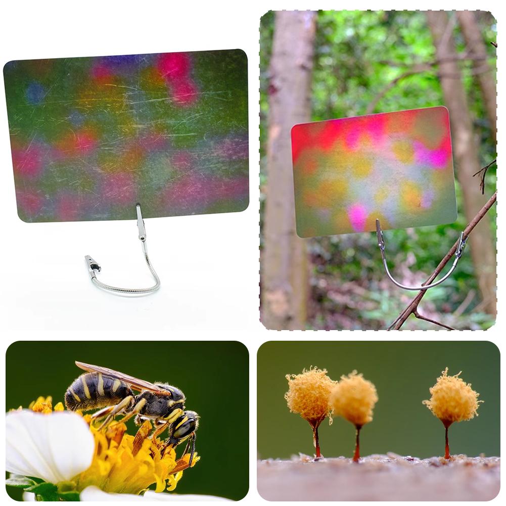 Macro Photography Background C - Photography Lighting Material ulasan dan harga
