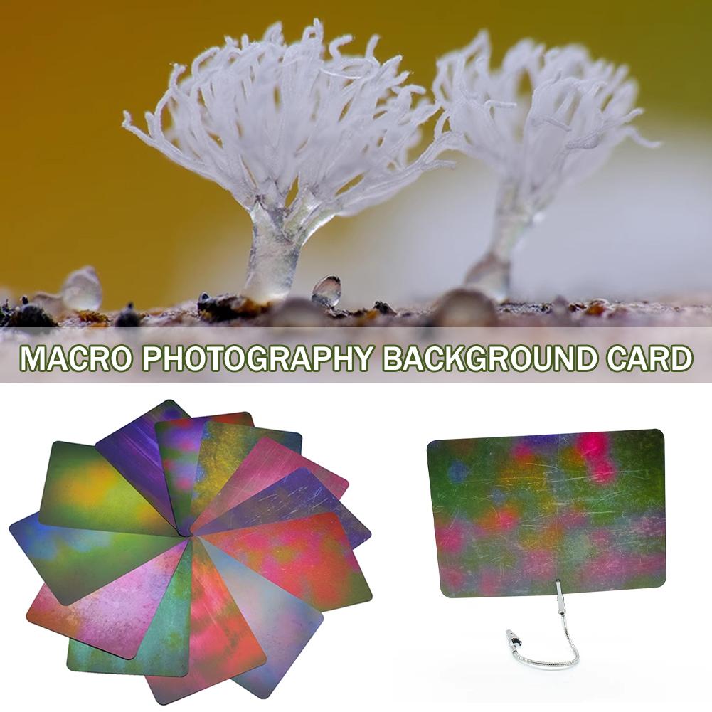 Macro Photography Background C - Photography Lighting Material ulasan dan harga