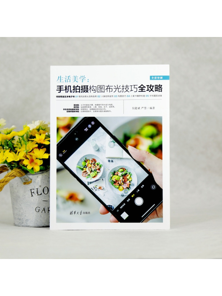 Book-Winshare Aesthetics Of Li - Photography Lighting Composition ulasan dan harga